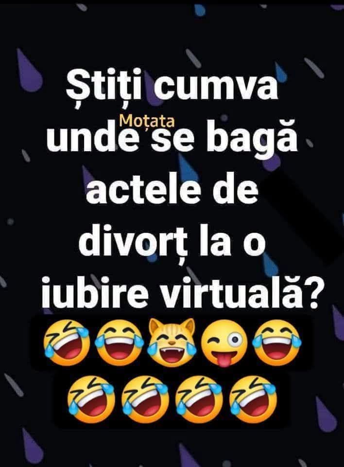 Știți cumva unde se bagă actele de divorț la o iubire virtuală?