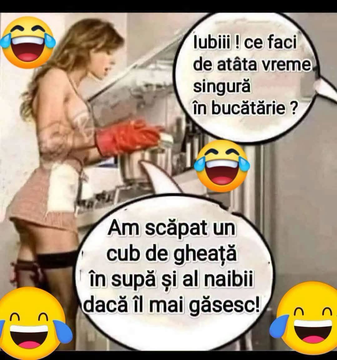 Iubii, ce faci de atâta vreme singură în bucătărie? Am scăpat un cub de gheață în supă și al naibii dacă îl mai găsesc!