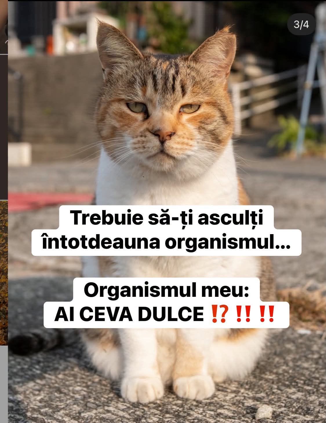 Trebuie să-ți asculți întotdeauna organismul... Organismul meu: AI CEVA DULCE?!