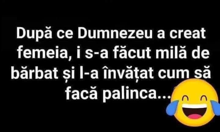 După ce Dumnezeu a creat femeia, i s-a făcut milă de bărbat și l-a învățat cum să facă pălincă