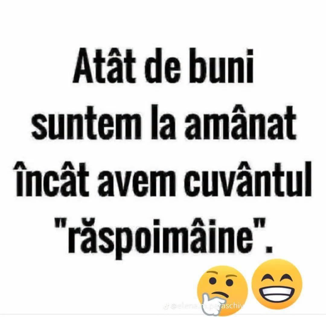 Atât de buni suntem la amânat încât avem cuvântul «răspoimâine»