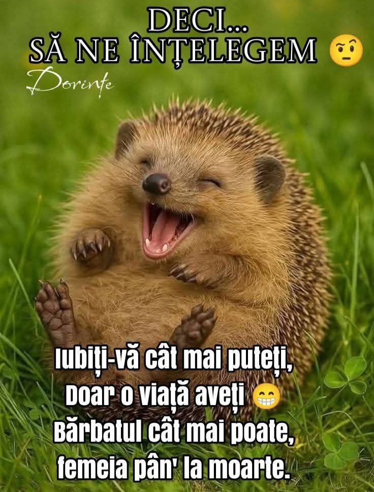 Iubiți-vă cât mai puteți, doar o viață aveți! Bărbatul cât mai poate, femeia până la moarte