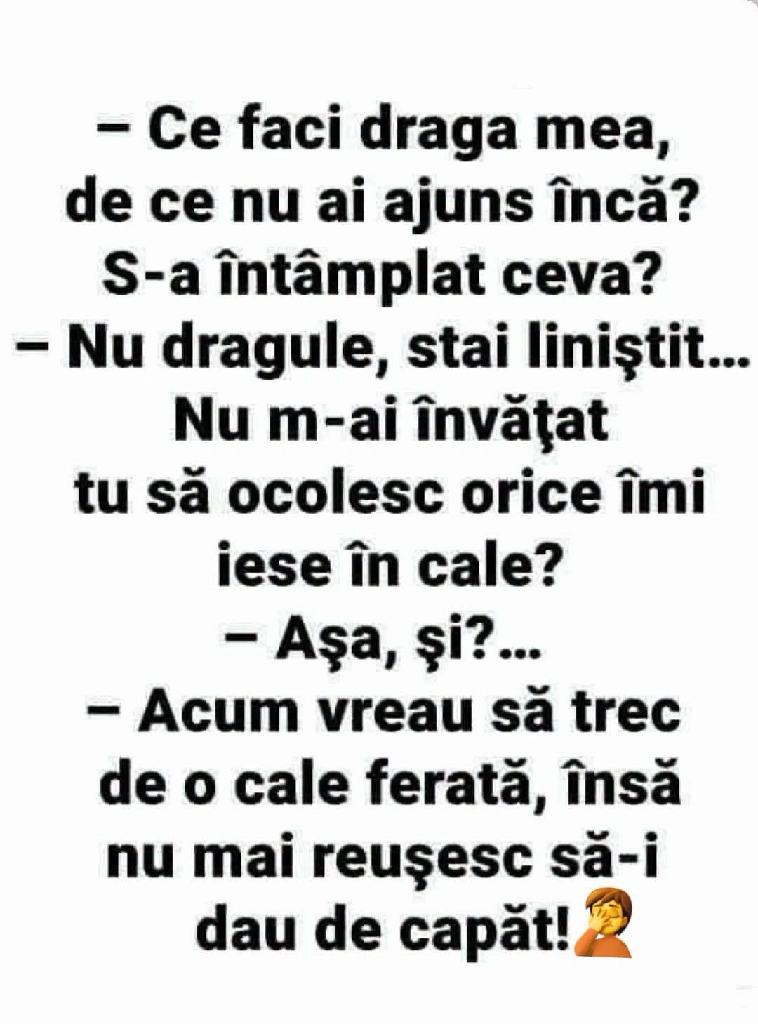 De ce n-ai ajuns încă, draga mea? Nu m-ai învățat tu să ocolesc orice îmi iese în cale? Acum vreau să trec de o cale ferată și nu-i dau de capăt!