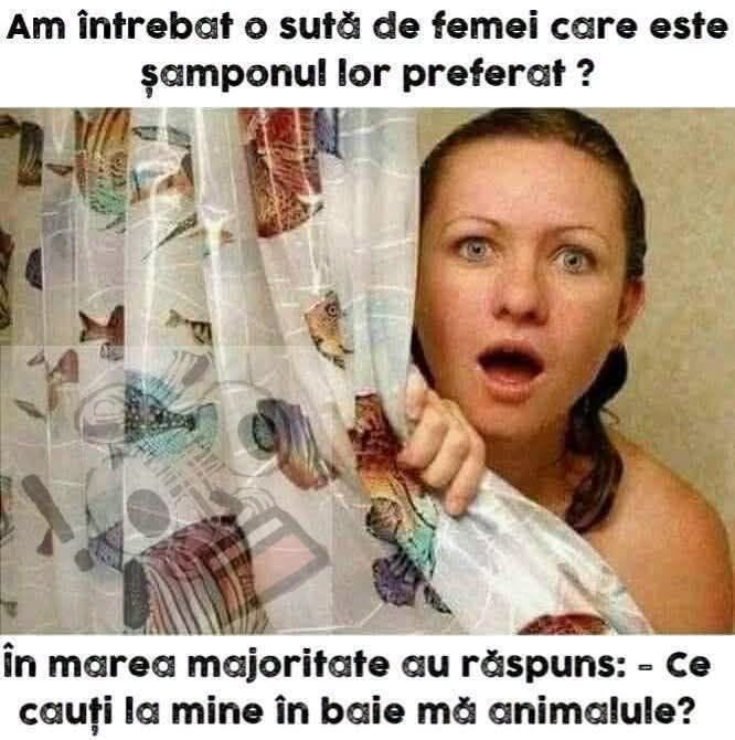 Am întrebat o sută de femei care este șamponul lor preferat. Majoritatea au răspuns: Ce cauți la mine în baie, mă animalule?