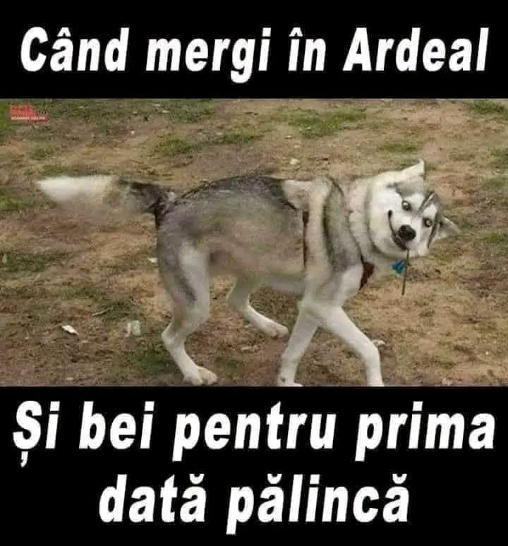 Când mergi în Ardeal și bei pentru prima dată pălincă
