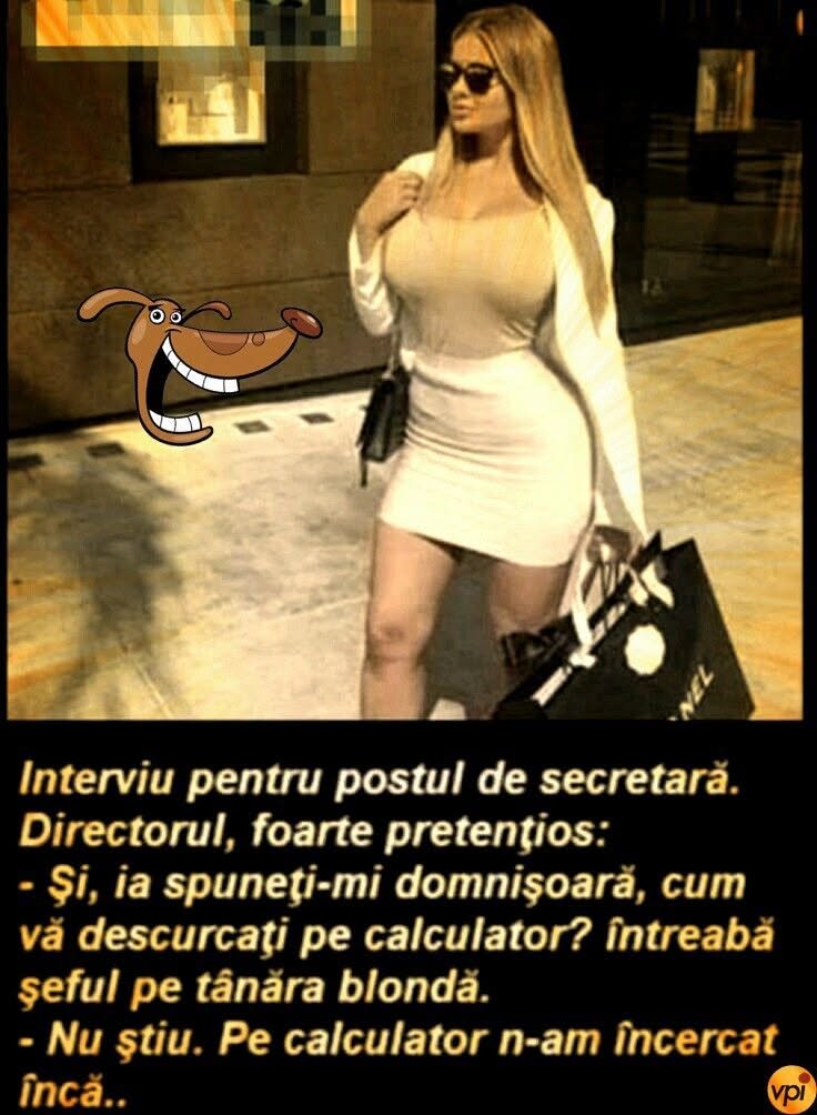 Interviu pentru postul de secretară: Cum vă descurcați pe calculator? Nu știu, pe calculator n-am încercat încă...