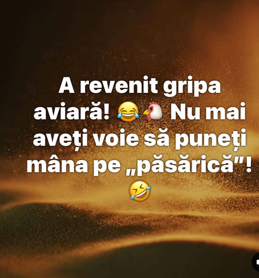 A revenit gripa aviară! Nu mai aveți voie să puneți mâna pe «păsărică»!