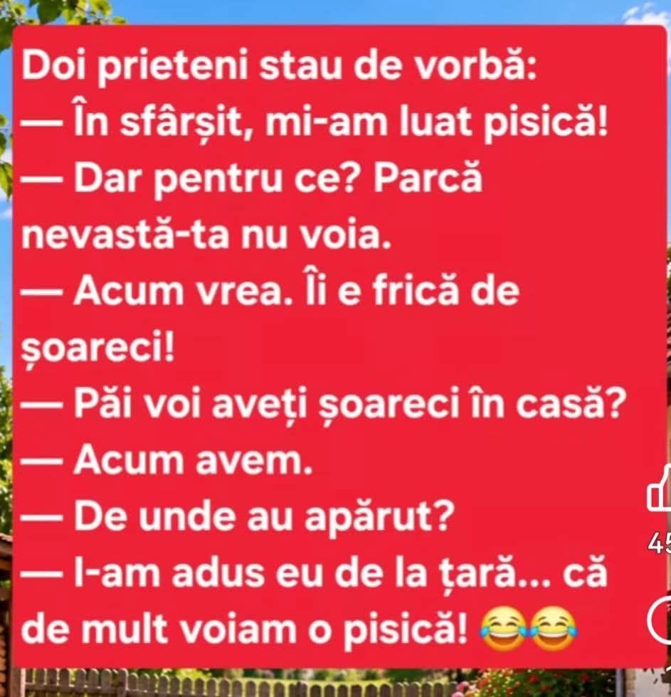 Mi-am luat pisică! Parcă nevastă-ta nu voia? Acum vrea, îi e frică de șoareci! De unde au apărut? I-am adus eu de la țară, că de mult voiam o pisică!