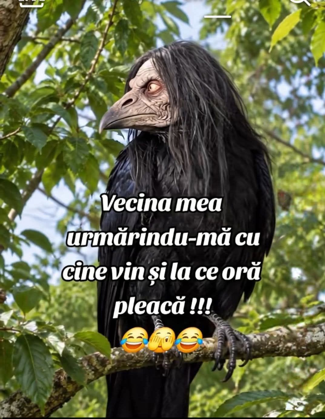 Vecina mea, urmărindu-mă cu cine vin și la ce oră plec