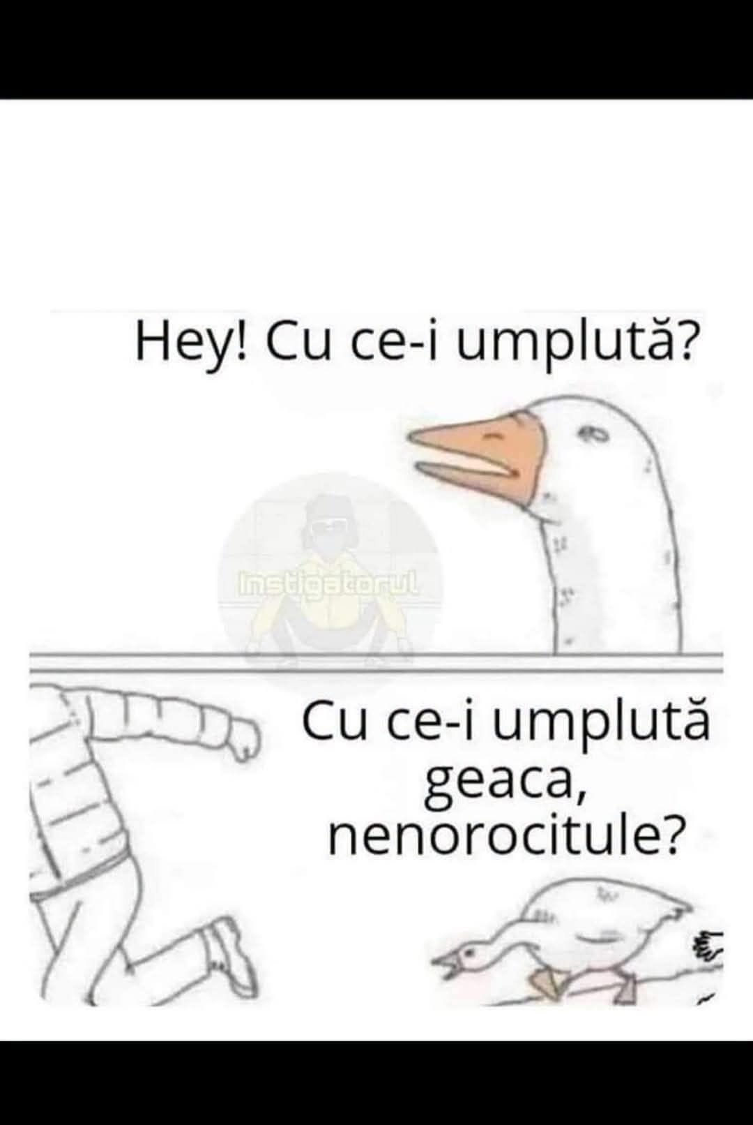 Hey! Cu ce-i umplută? Cu ce-i umplută geaca, nenorocitule?
