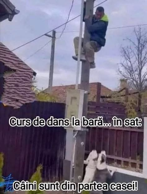 Curs de dans la bară... în sat! Câinii sunt din partea casei!