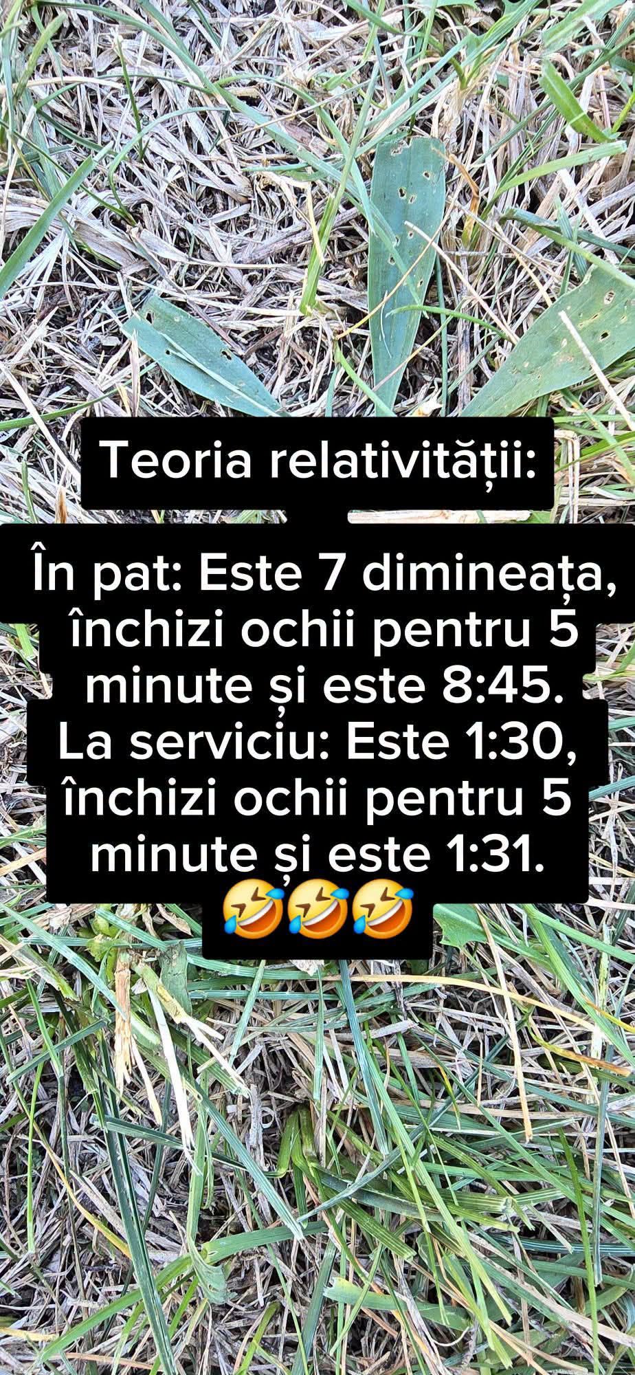 Teoria relativității: în pat, la 7 dimineața, închizi ochii 5 minute și e 8:45. La serviciu, la 1:30, închizi ochii 5 minute și e 1:31.