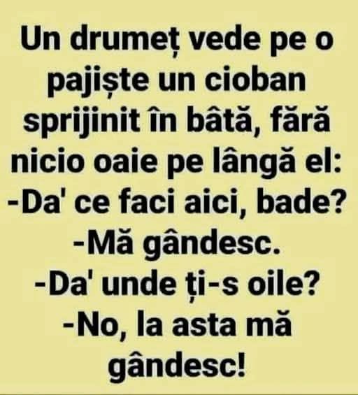 Un drumeț vede un cioban sprijinit în bâtă, fără nicio oaie: Da' ce faci aici, bade? Mă gândesc. Da' unde ți-s oile? No, la asta mă gândesc!