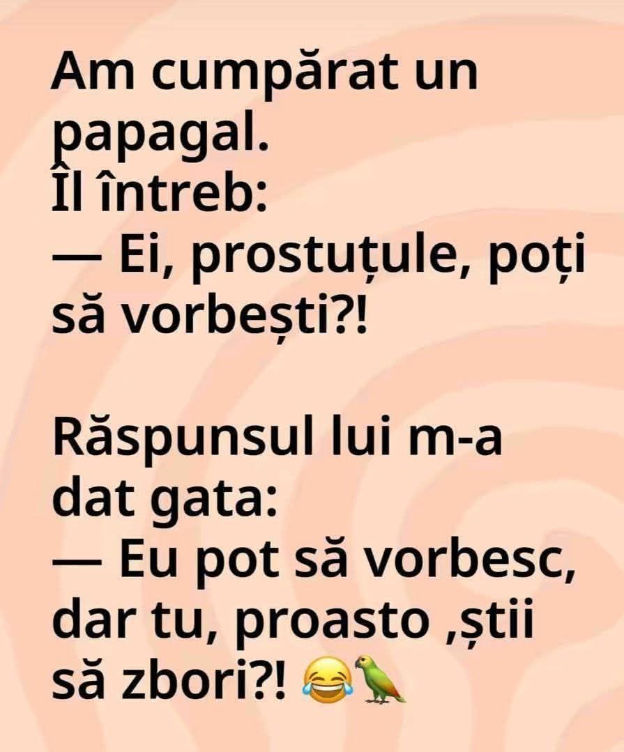 Am cumpărat un papagal. Îl întreb: Ei, prostuțule, poți să vorbești?! Răspunsul lui m-a dat gata: Eu pot să vorbesc, dar tu, proasto, știi să zbori?!