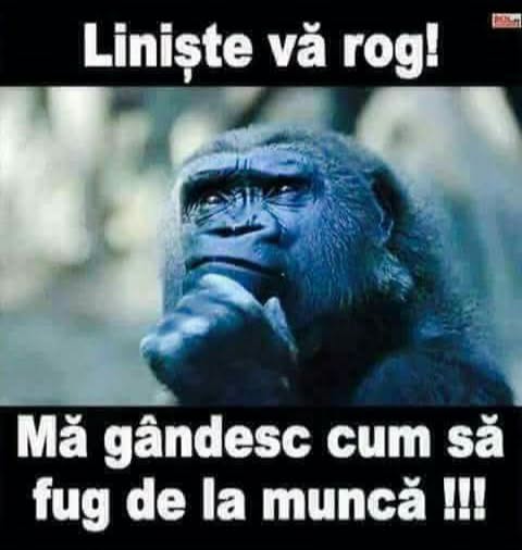 Liniște, vă rog! Mă gândesc cum să fug de la muncă!