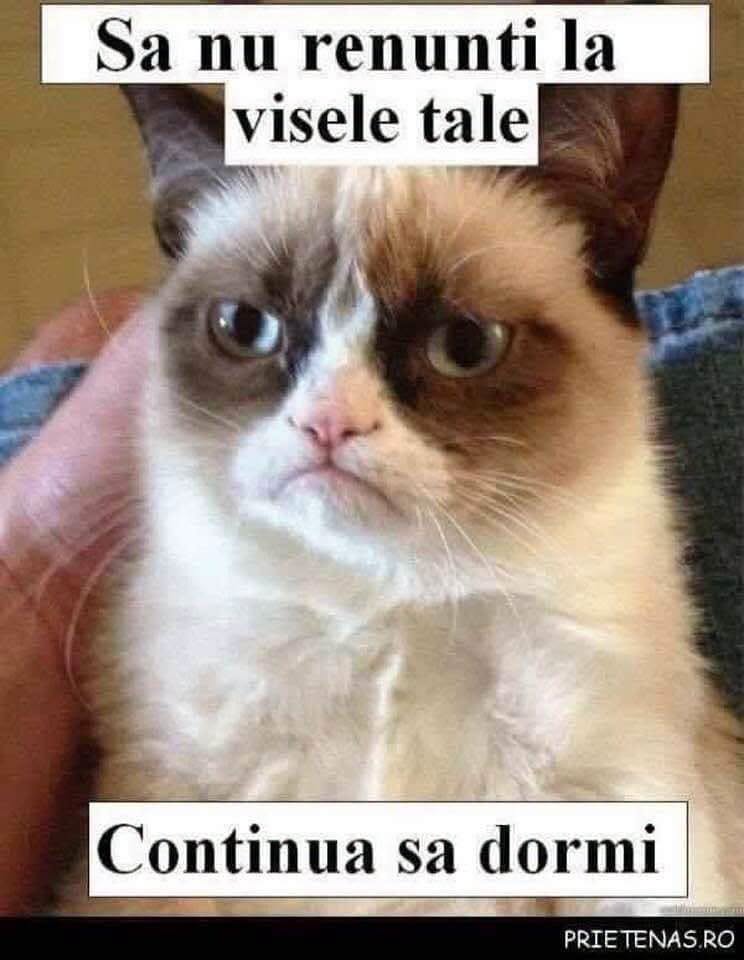 Să nu renunți la visele tale. Continuă să dormi