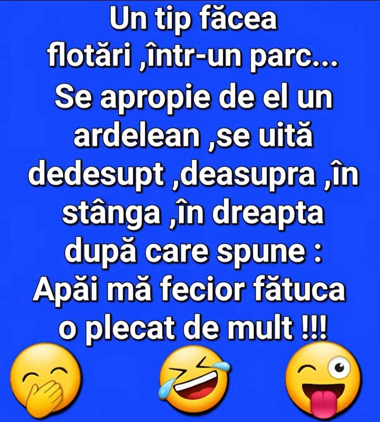Un tip făcea flotări în parc. Un ardelean se uită dedesubt, deasupra, în stânga, în dreapta și spune: Apăi, mă fecior, fătuca o plecat de mult!