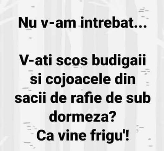 Nu v-am întrebat... V-ați scos budigăii și cojoacele din sacii de rafie de sub dormeză? Că vine frigu'!