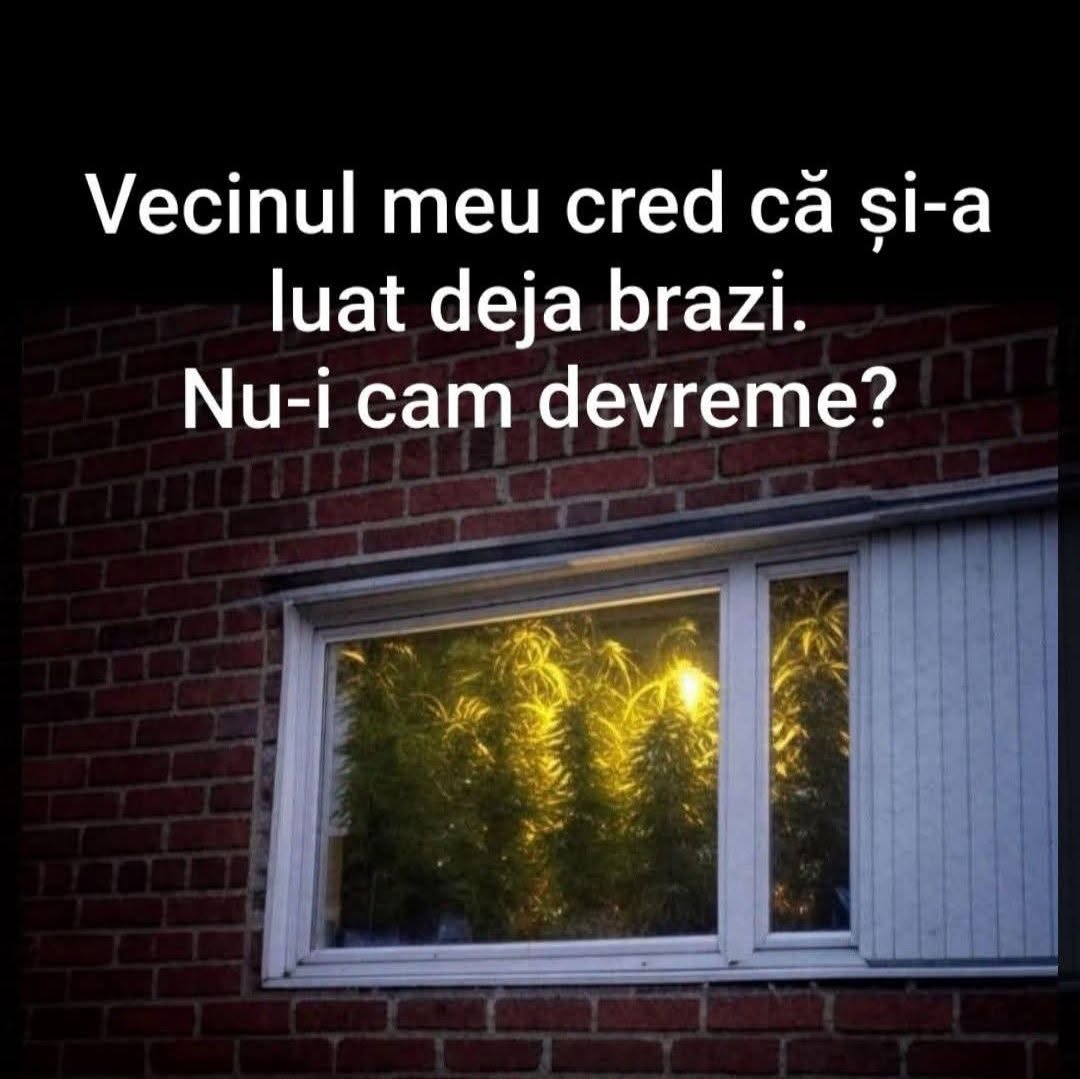 Vecinul meu cred că și-a luat deja brazi. Nu-i cam devreme?