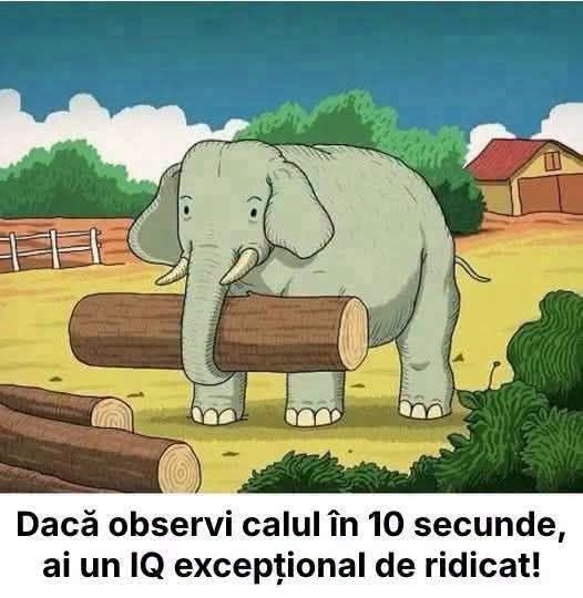 Dacă observi calul în 10 secunde, ai un IQ excepțional de ridicat!