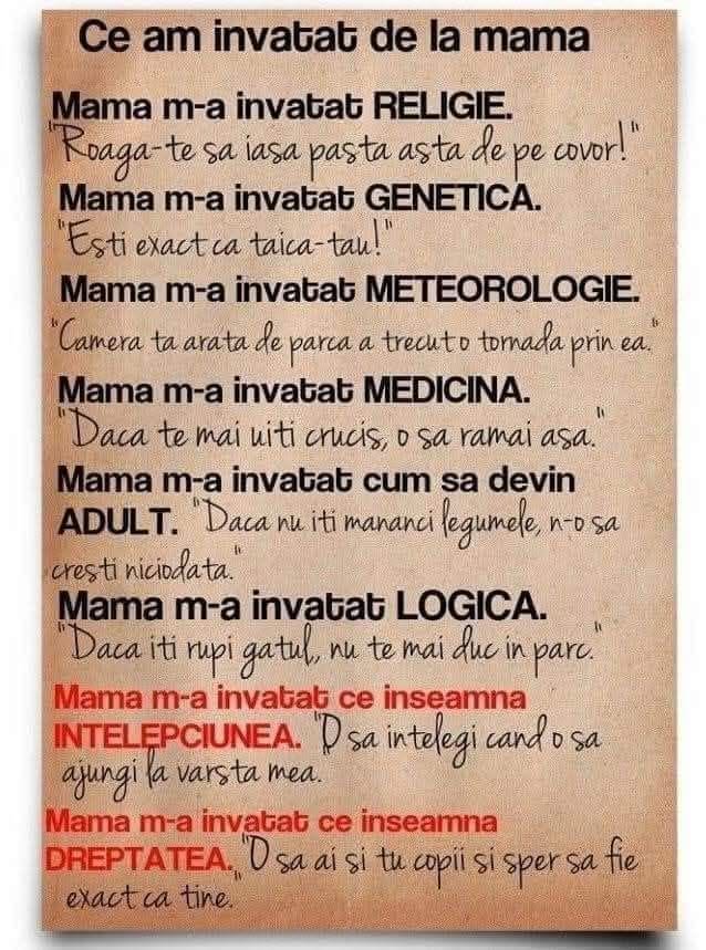 Ce am învățat de la mama: religie, genetică, meteorologie, medicină, logică, înțelepciune și dreptate