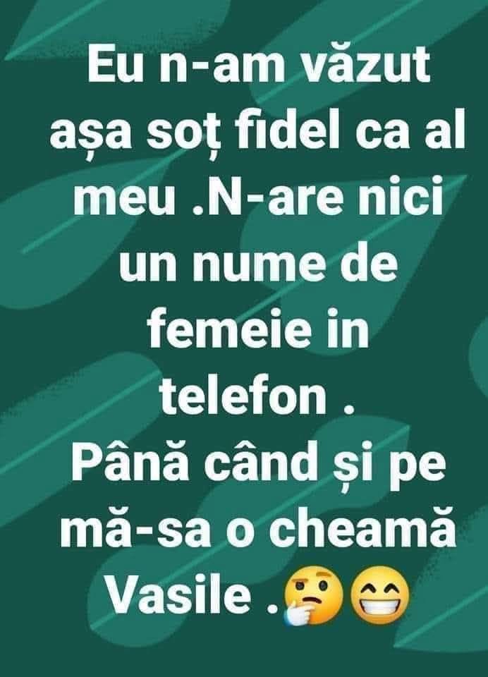 Eu n-am văzut așa soț fidel ca al meu. N-are niciun nume de femeie în telefon. Până când și pe mă-sa o cheamă Vasile.