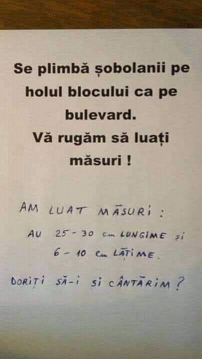 Se plimbă șobolanii pe holul blocului ca pe bulevard. Vă rugăm să luați măsuri! Am luat măsuri: 25-30 cm lungime și 6-10 cm lățime. Doriți să-i și cântărim?