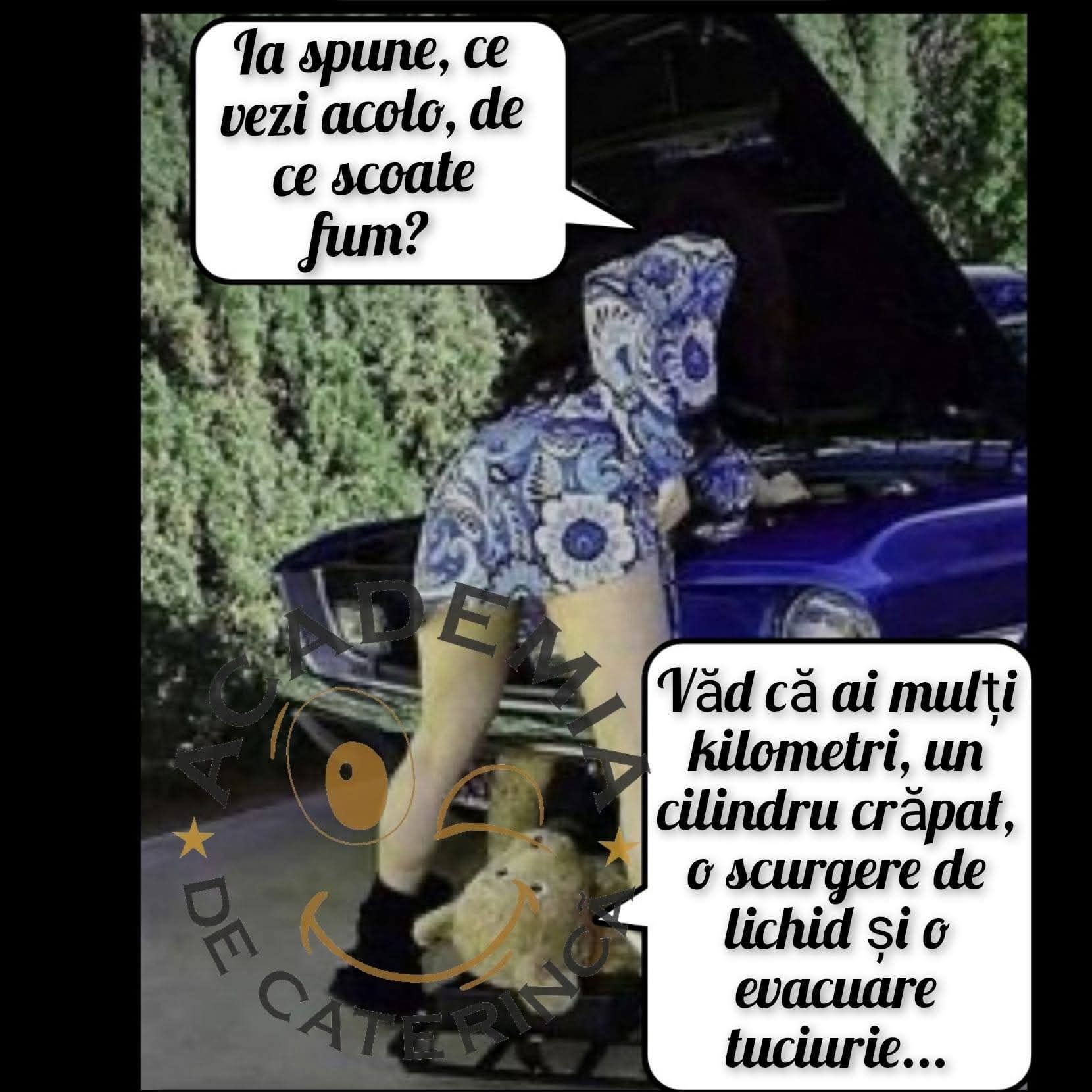 Ia spune, ce vezi acolo de scoate fum? Văd că ai mulți kilometri, un cilindru crăpat, o scurgere de lichid și o evacuare tuciurie...