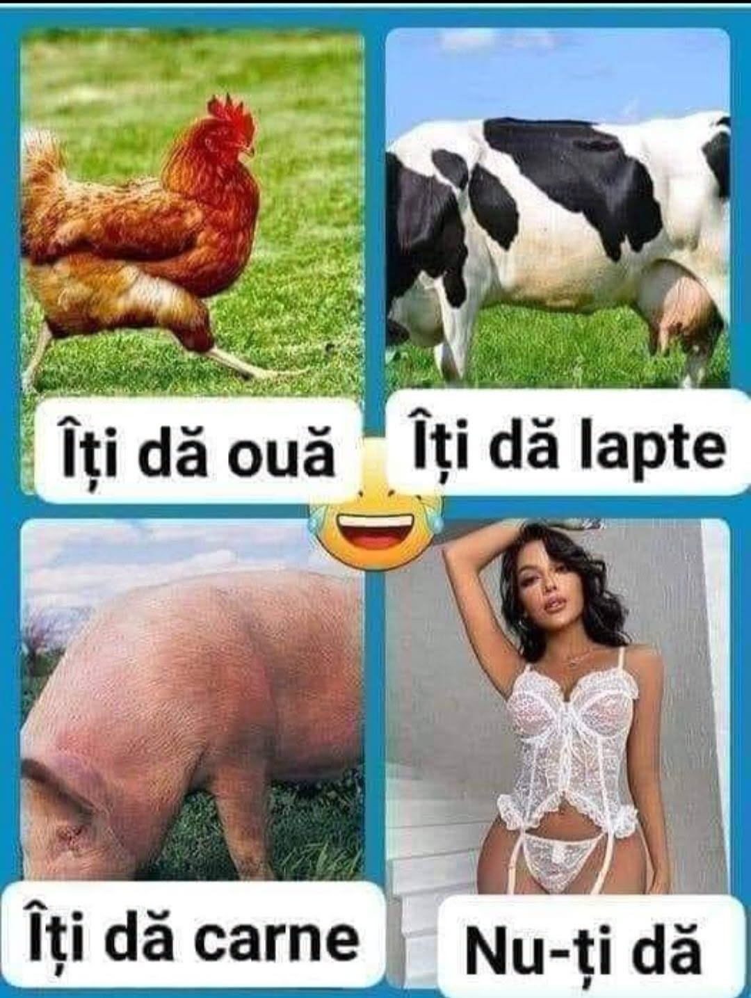 Îți dă ouă, îți dă lapte, îți dă carne... Nu-ți dă