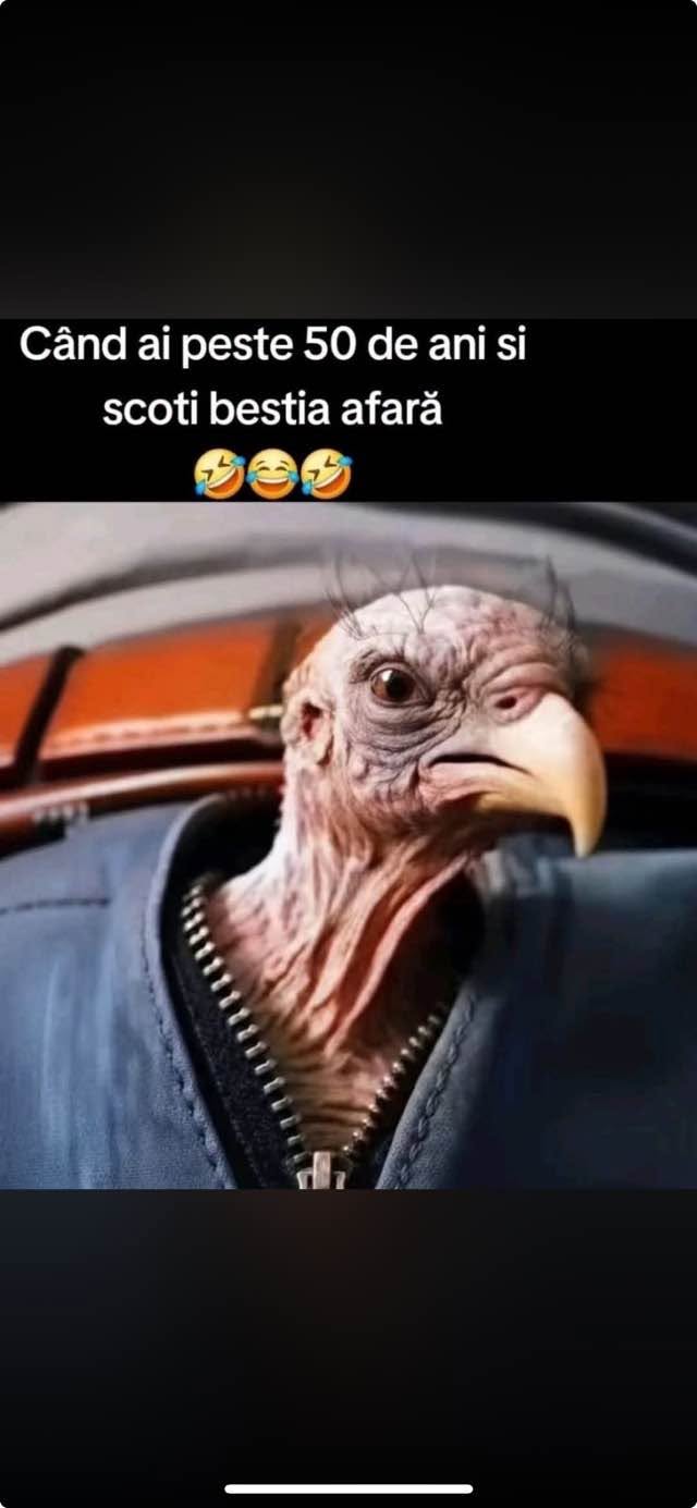 Când ai peste 50 de ani și scoți bestia afară
