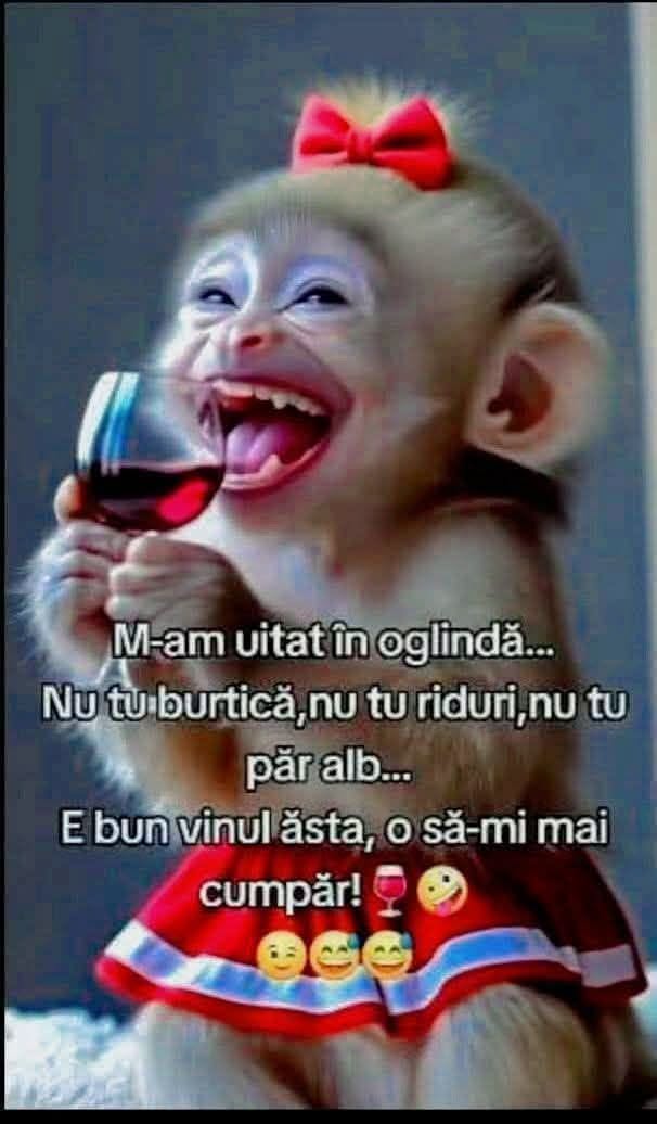 M-am uitat în oglindă... Nu-i burtică, nu-s riduri, nu-i păr alb... E bun vinul ăsta, o să-mi mai cumpăr!