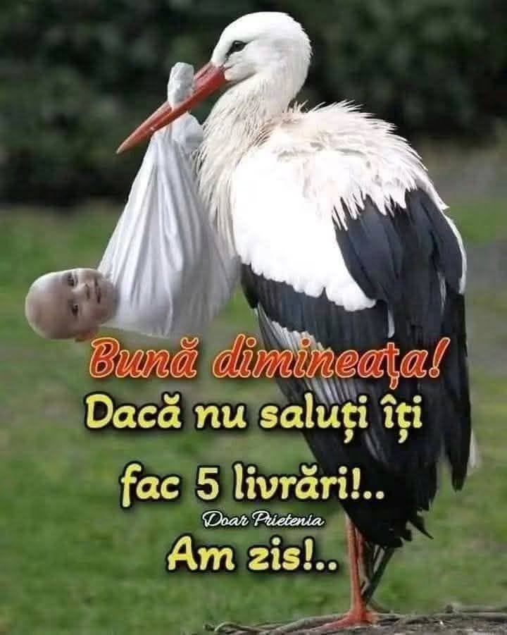 Bună dimineața! Dacă nu saluți, îți fac 5 livrări! Am zis!