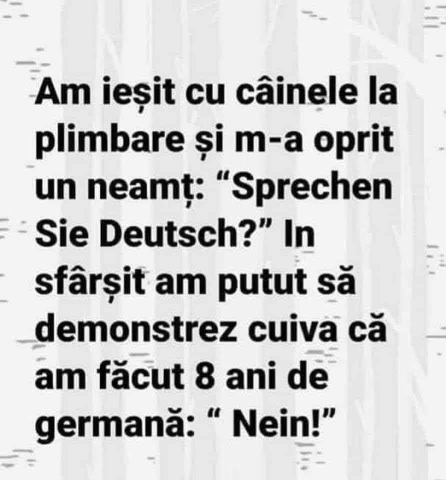 M-a oprit un neamț: Sprechen Sie Deutsch? În sfârșit am putut să demonstrez cuiva că am făcut 8 ani de germană: Nein!