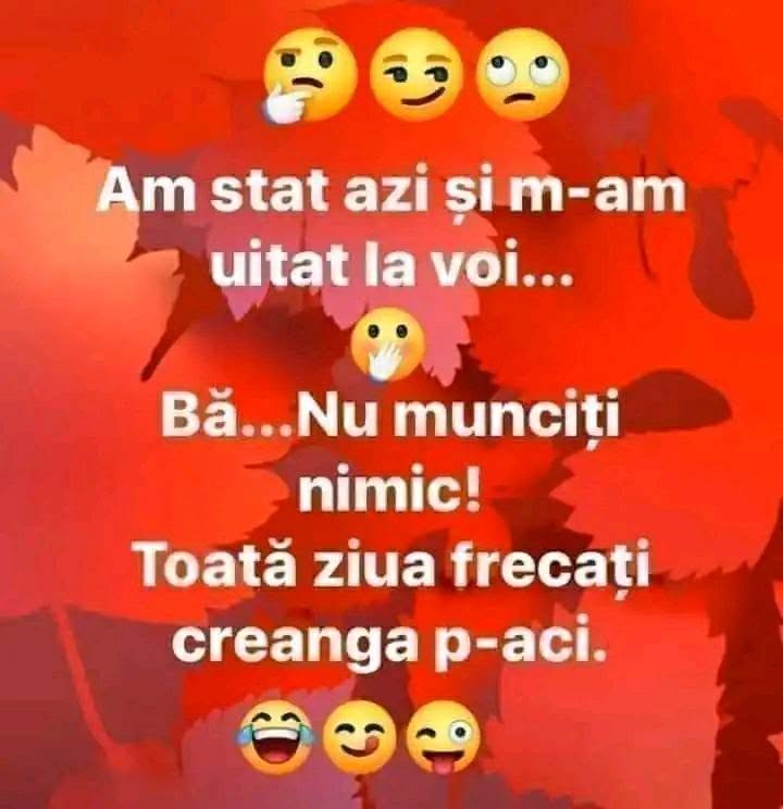 Am stat azi și m-am uitat la voi... Bă, nu munciți nimic! Toată ziua frecați creanga p-aci.