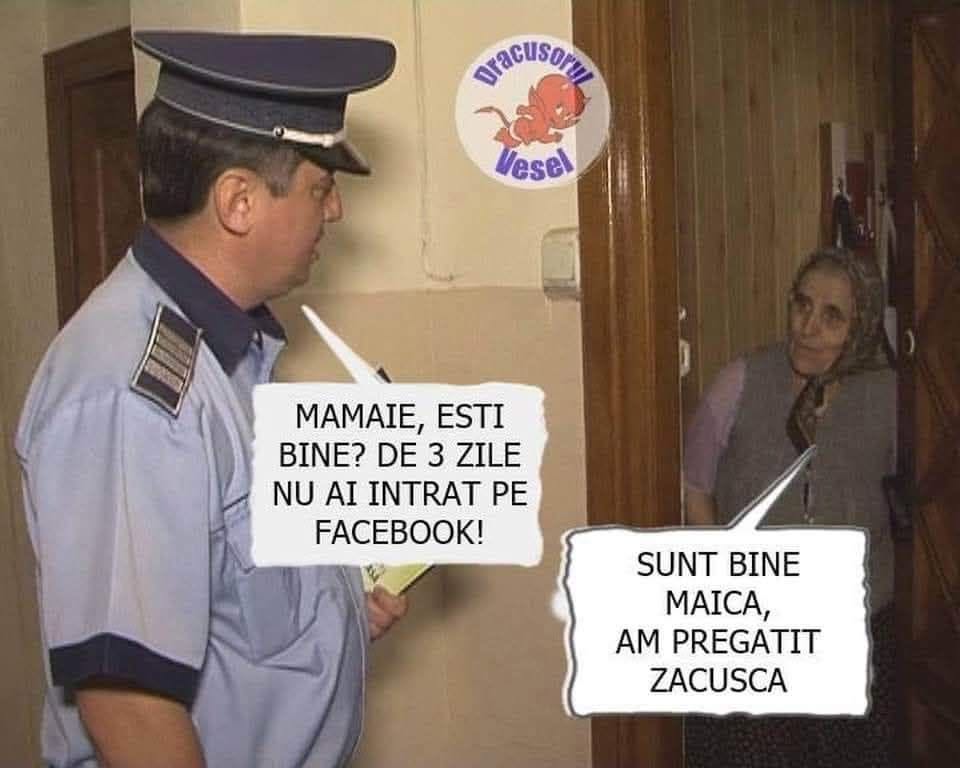 Mamaie, ești bine? De 3 zile nu ai intrat pe Facebook! Sunt bine, maică, am pregătit zacusca