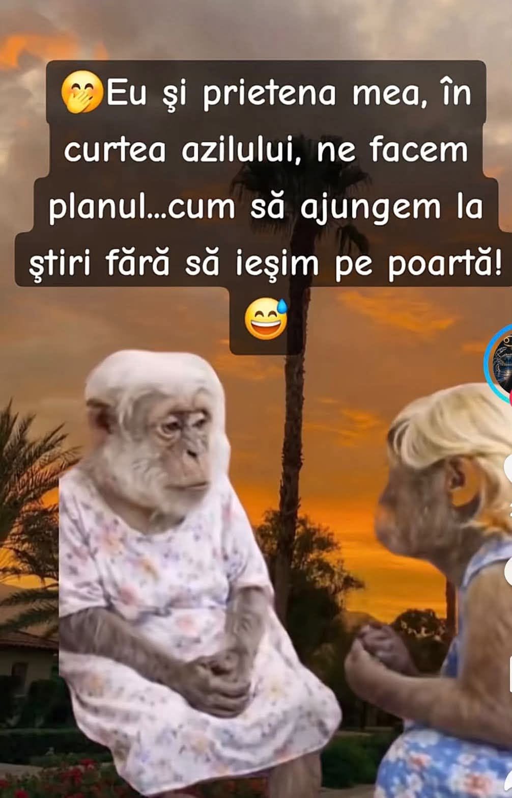 Eu și prietena mea, în curtea azilului, ne facem planul cum să ajungem la știri fără să ieșim pe poartă!