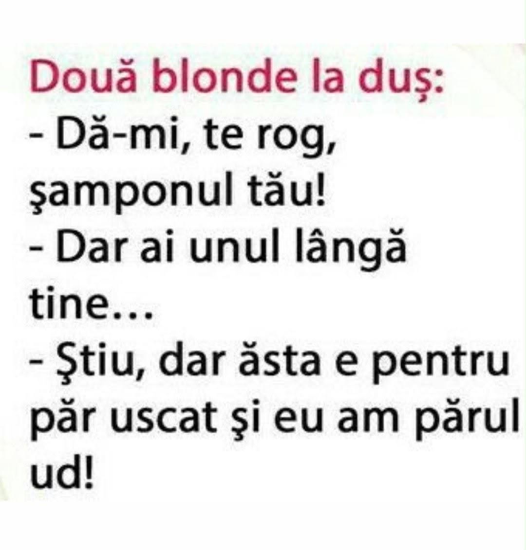 Două blonde la duș: Dă-mi, te rog, șamponul tău! Dar ai unul lângă tine... Știu, dar ăsta e pentru păr uscat și eu am părul ud!