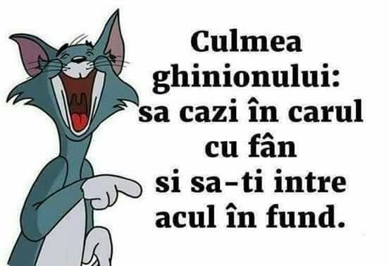 Culmea ghinionului: să cazi în carul cu fân și să-ți intre acul în fund