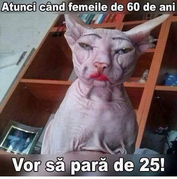 Atunci când femeile de 60 de ani vor să pară de 25!