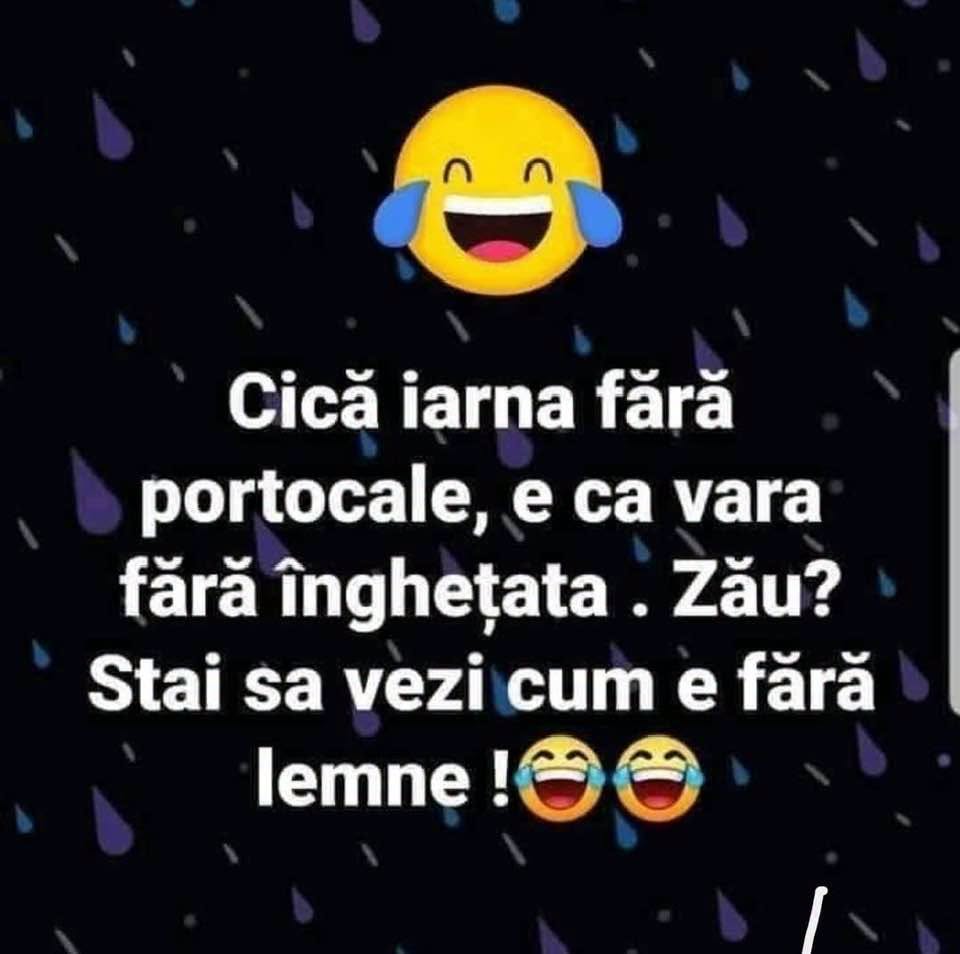 Cică iarna fără portocale e ca vara fără înghețată. Zău? Stai să vezi cum e fără lemne!
