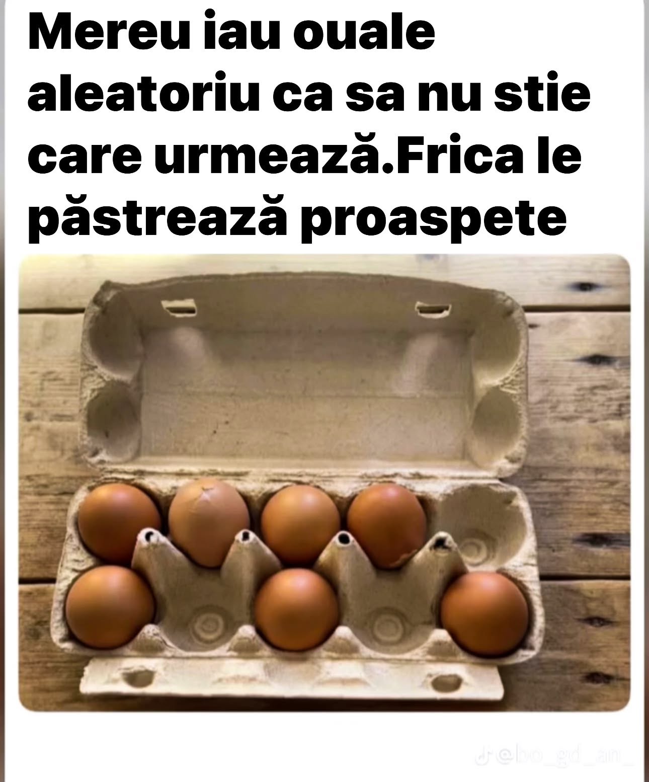 Mereu iau ouăle aleatoriu, ca să nu știe care urmează. Frica le păstrează proaspete