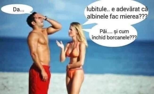 Iubitule, e adevărat că albinele fac mierea? Da... Păi și cum închid borcanele?