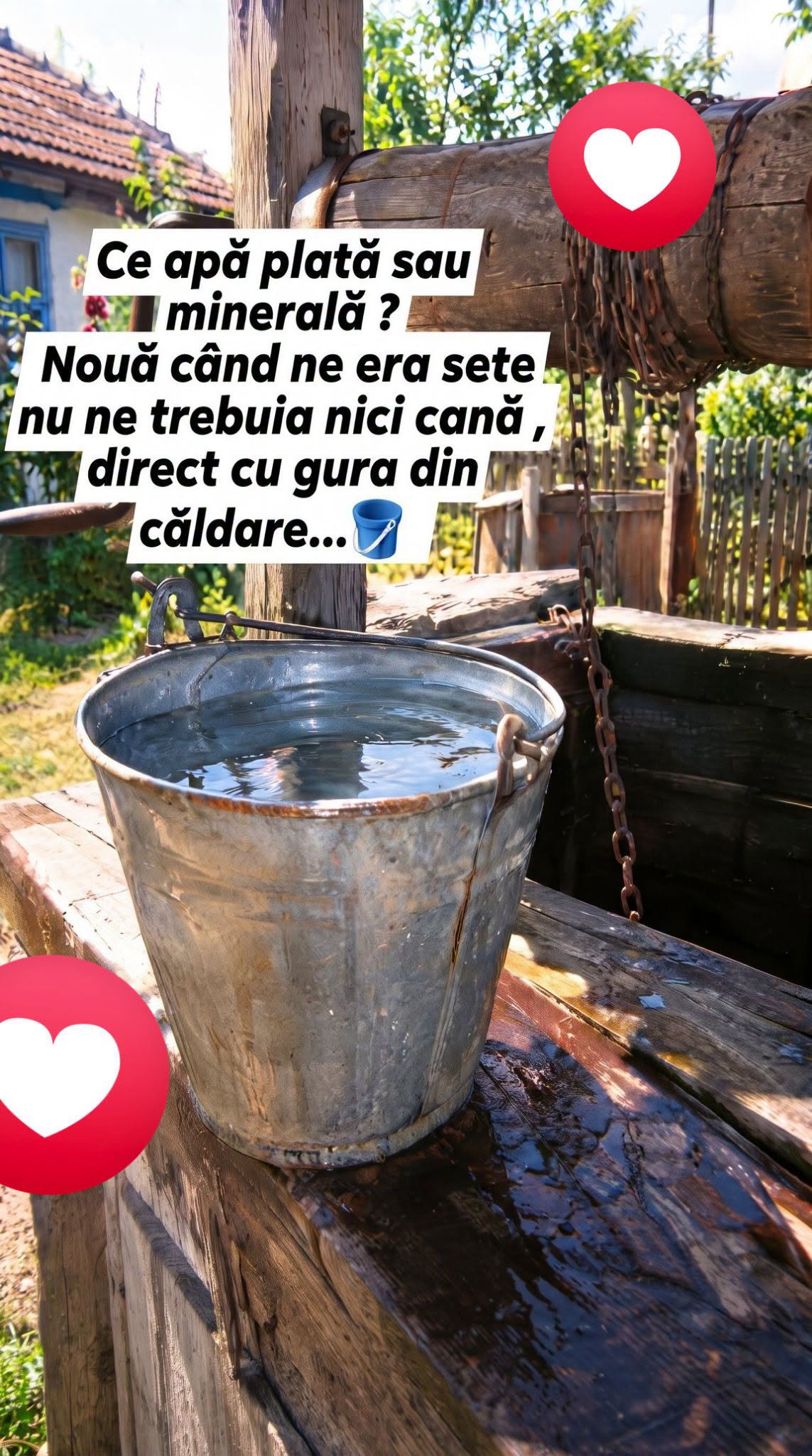 Ce apă plată sau minerală? Nouă, când ne era sete, nu ne trebuia nici cană: direct cu gura din căldare!