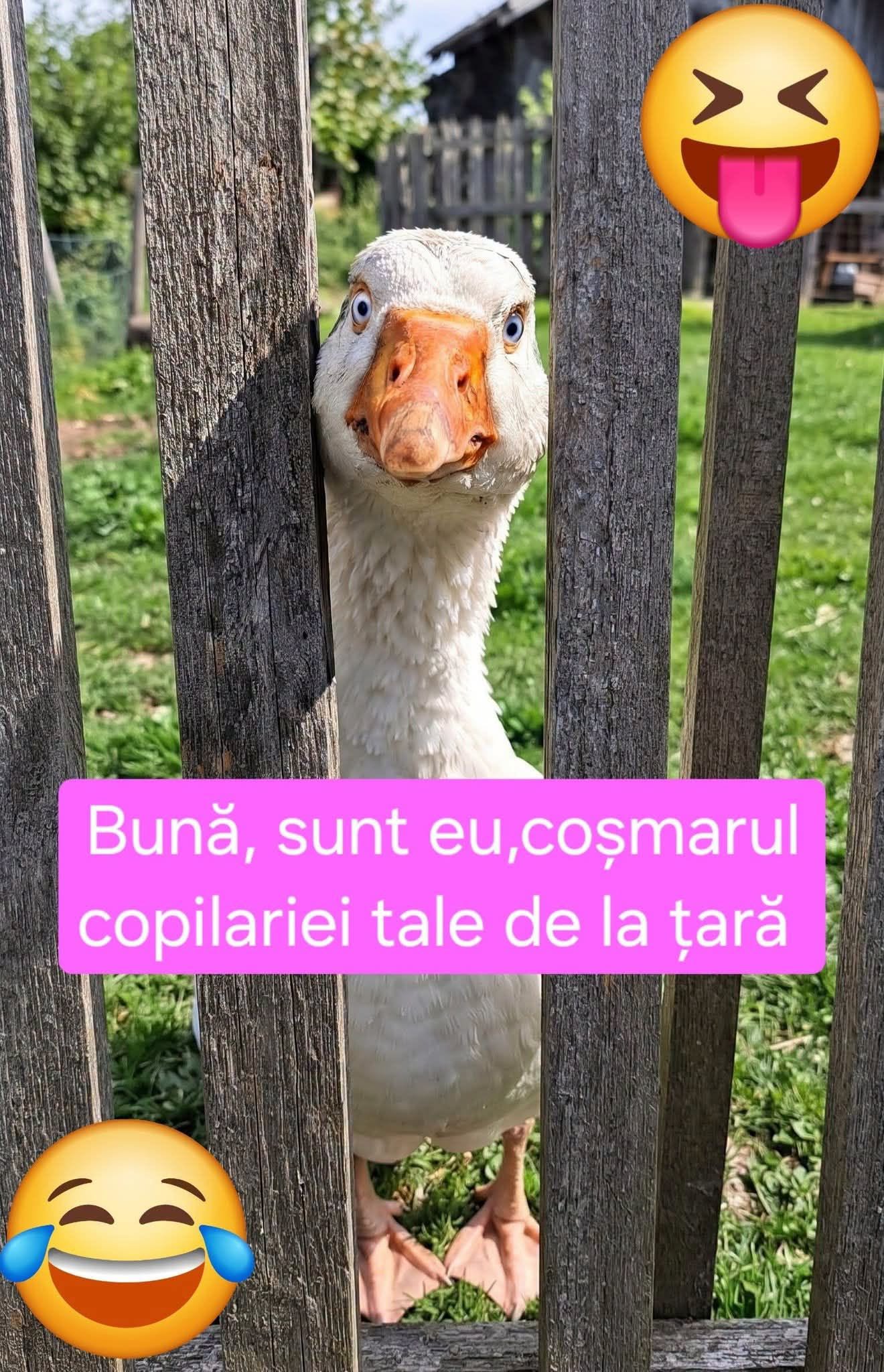 Bună, sunt eu, coșmarul copilăriei tale de la țară