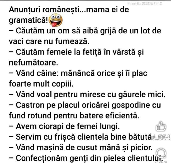Anunțuri românești... mama ei de gramatică! Vând câine: mănâncă orice și îi plac foarte mult copiii.