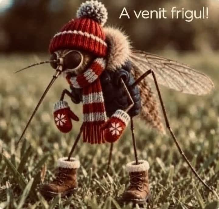 A venit frigul!