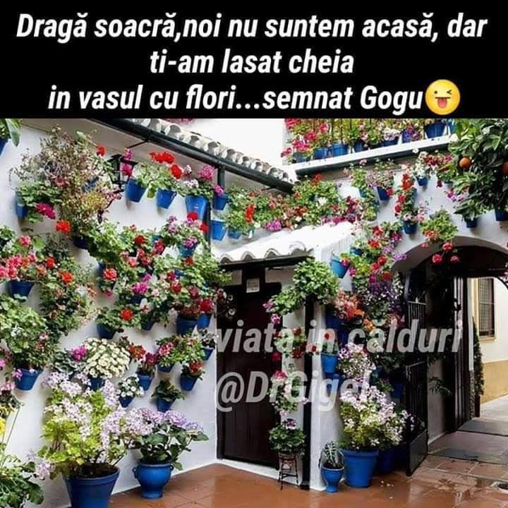 Dragă soacră, noi nu suntem acasă, dar ți-am lăsat cheia în vasul cu flori... Semnat, Gogu