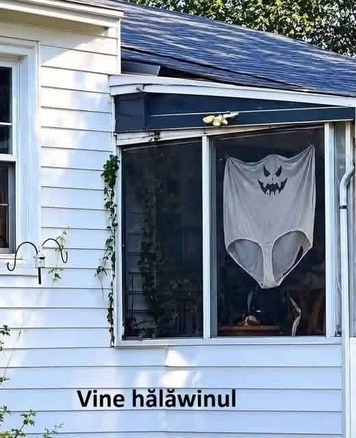 Vine hălăwinul