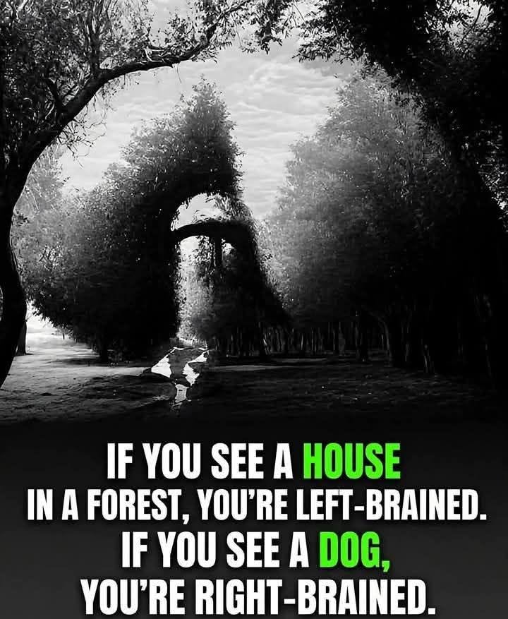If you see a house in a forest, you're left-brained. If you see a dog, you're right-brained.