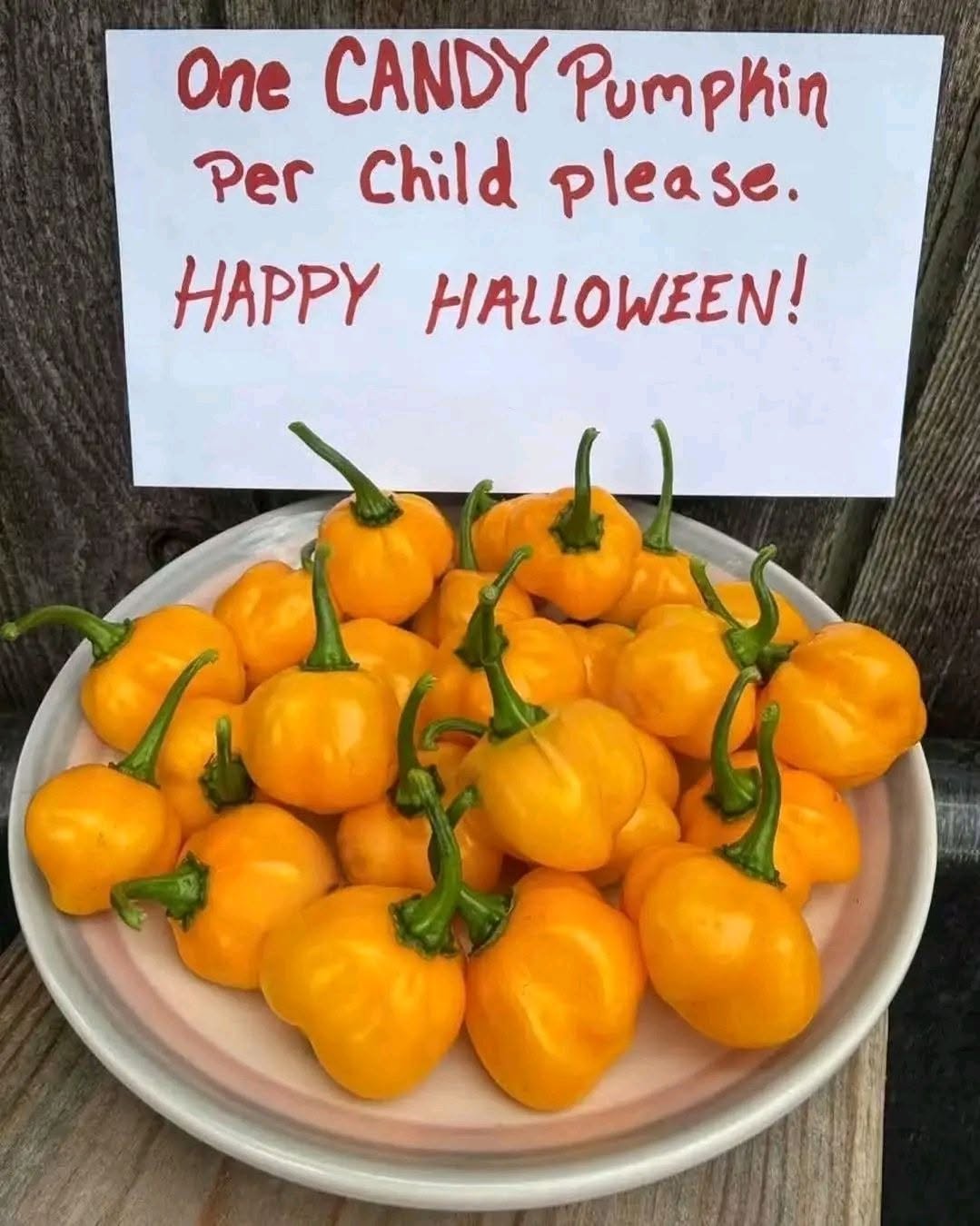 One candy pumpkin per child, please. Happy Halloween!